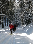/Ski/2009/Images/1638/Photo 063Icon.jpg
